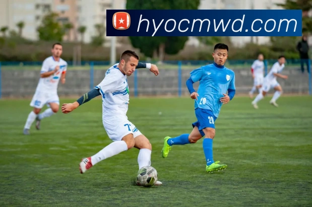 问鼎娱乐平台生态图